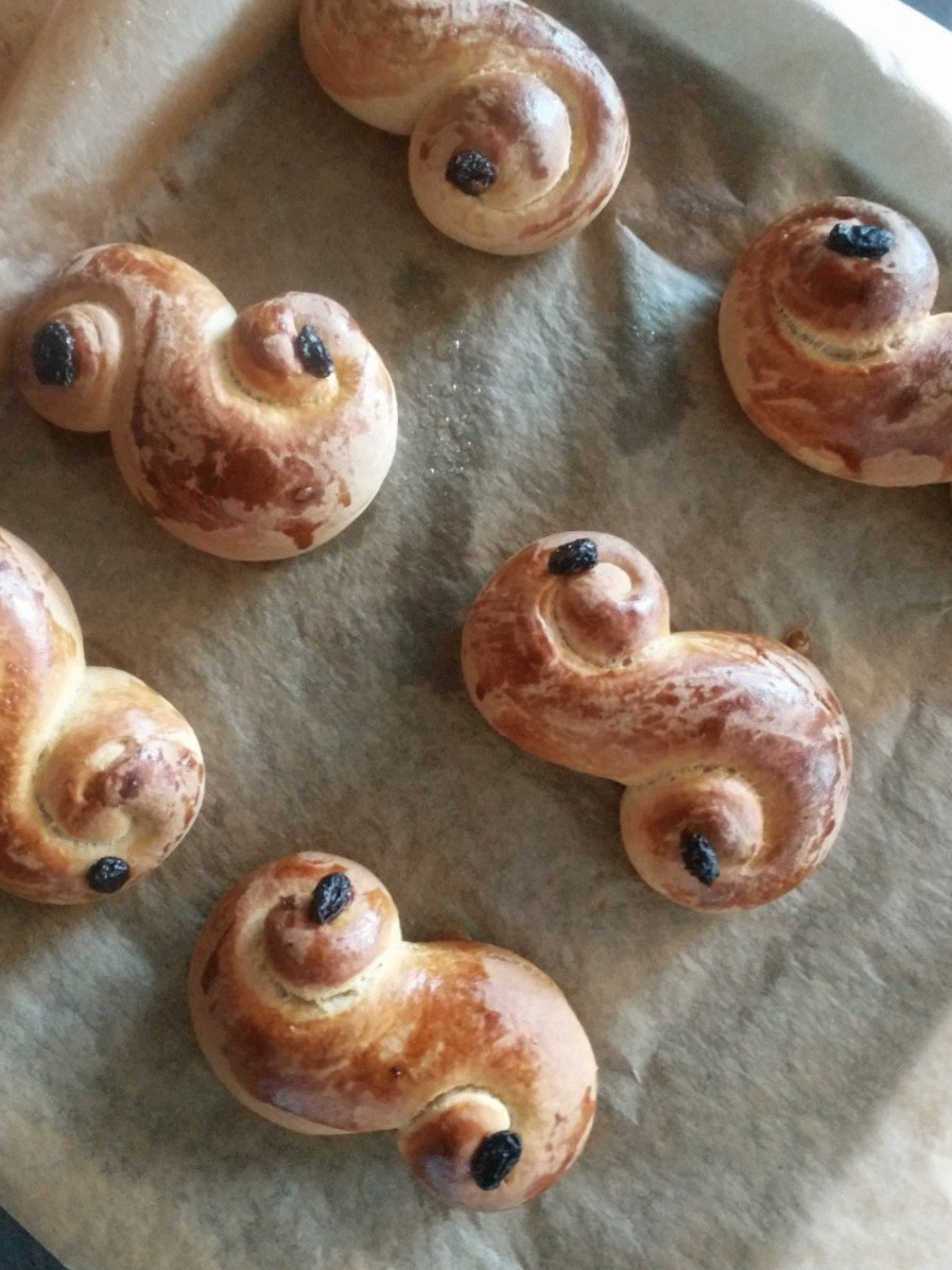 Gorgeous seahorse buns