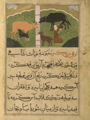 History of :&nbsp;Paneer