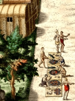 History of : Pumpkin&nbsp;Pie