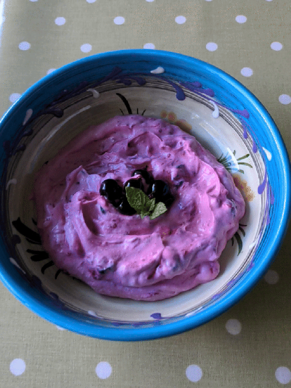 Blackcurrant Fool