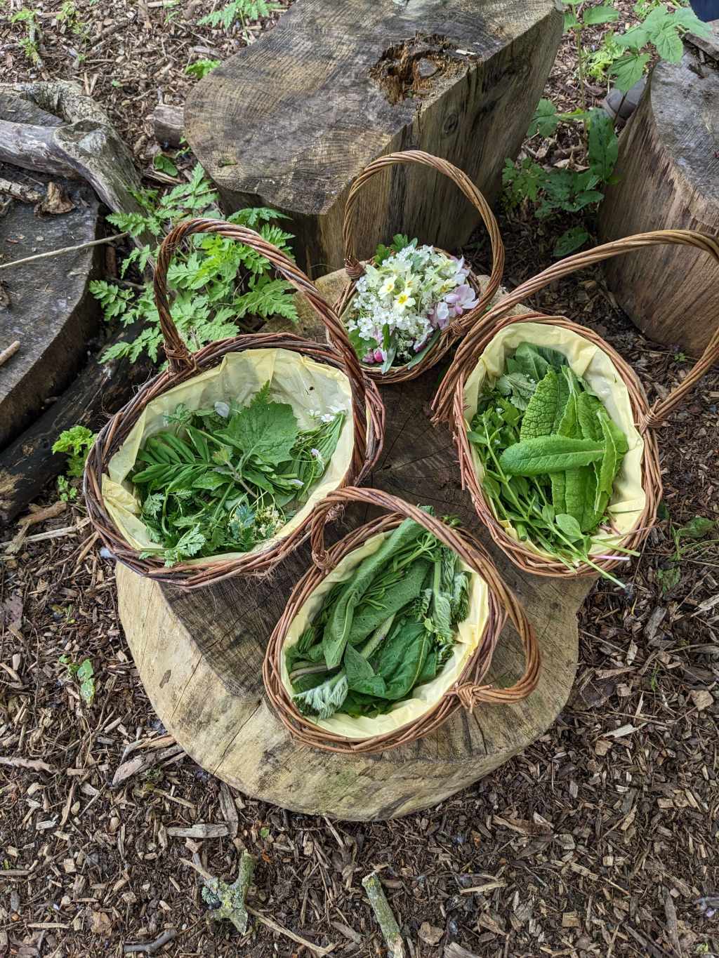 Foraging and cooking in London,&nbsp;UK
